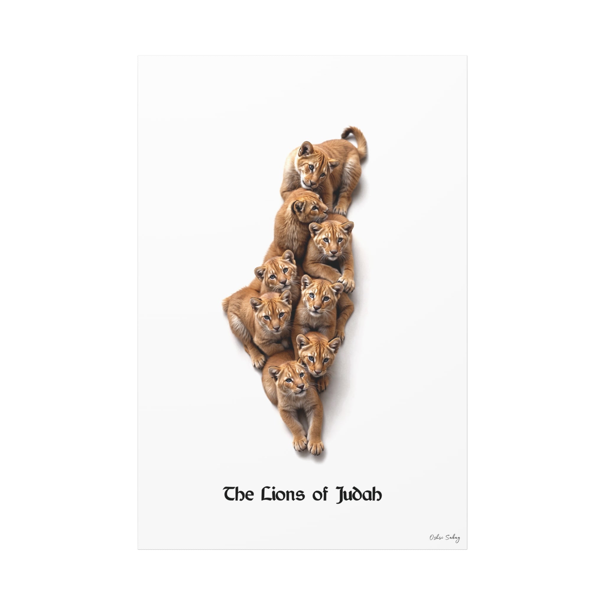 The Lions of Judah