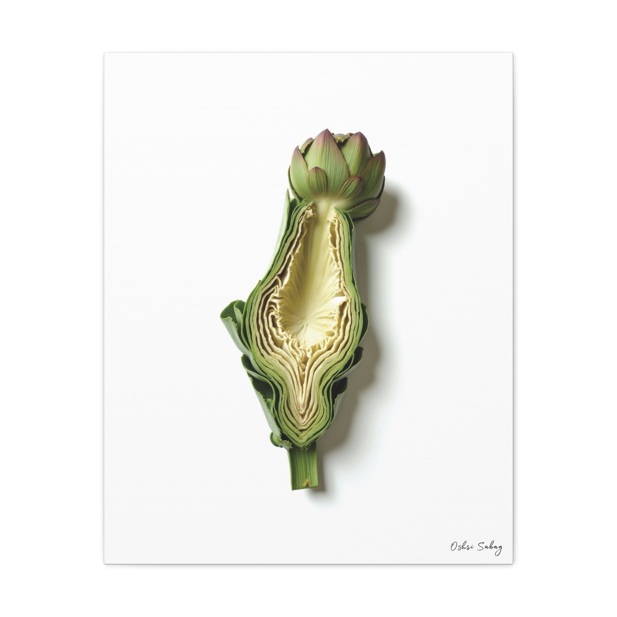 Artichoke – Nature Jewish Wall Art Print | Framed Canvas | Oshri Sabag Studio
