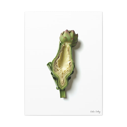 Artichoke