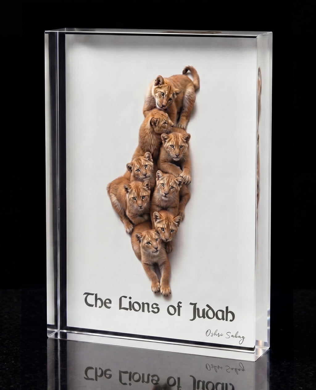 The Lions of Judah Glass Edition – Jewish Acrylic Art Block | Oshri Sabag Studio
