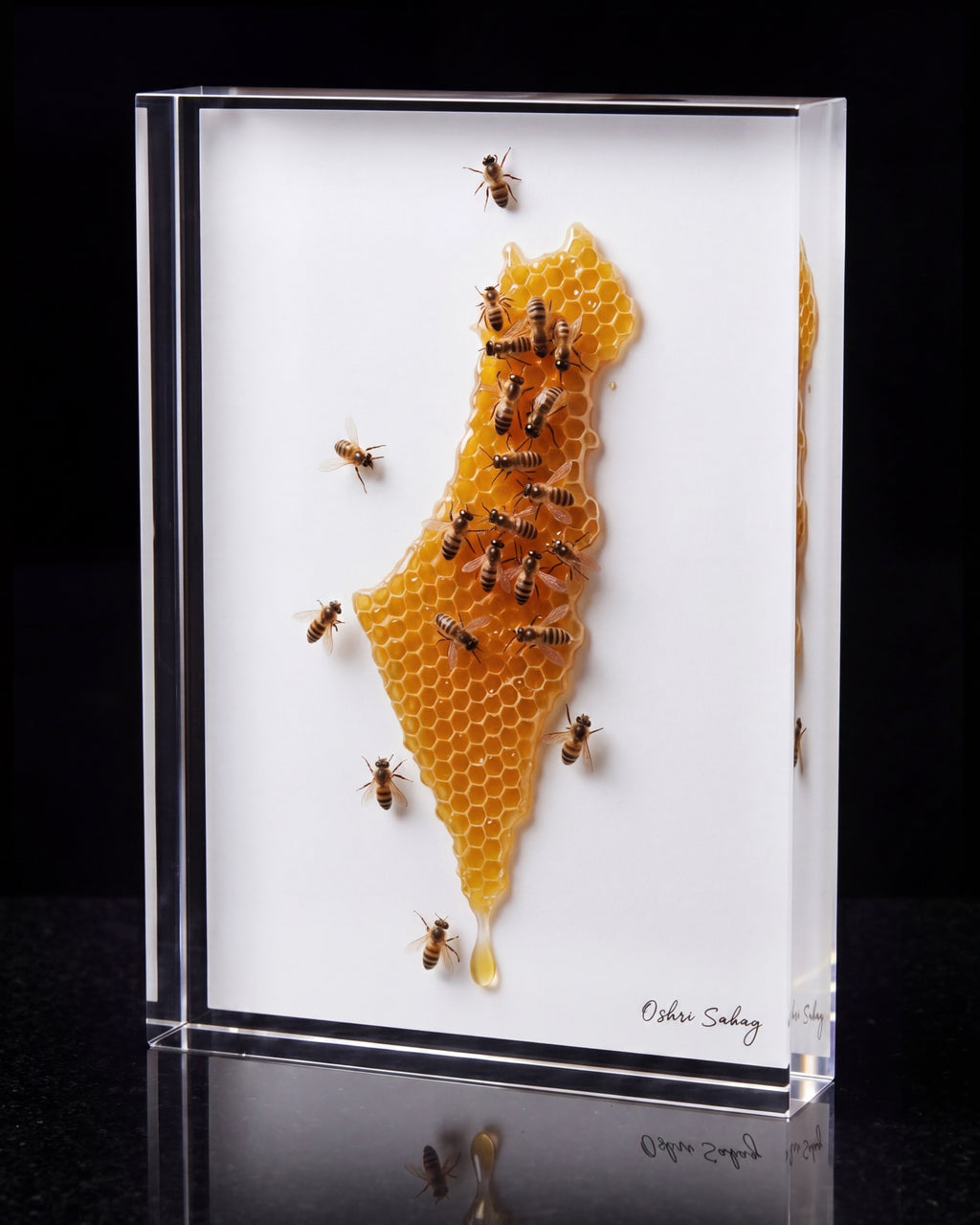 The Process Glass Edition – Bees Forming Israel Acrylic Art Block | Oshri Sabag Studio
