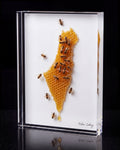 The Process Glass Edition – Bees Forming Israel Acrylic Art Block | Oshri Sabag Studio
