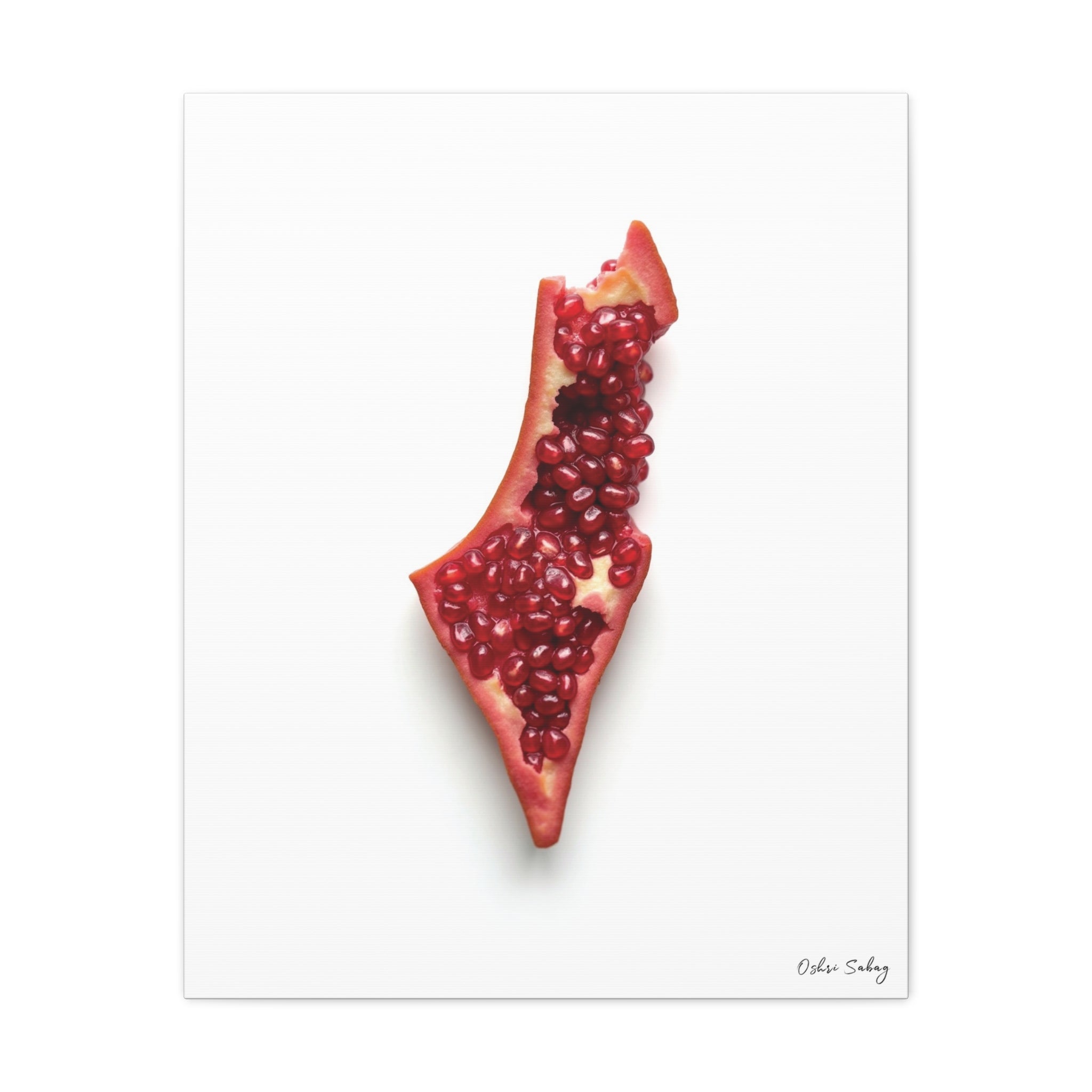 Rimon – Pomegranate Jewish Wall Art Print | Framed Canvas | Oshri Sabag Studio

