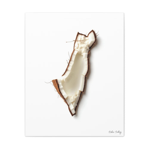 Coconut – Exotic Jewish Wall Art Print | Framed Canvas | Oshri Sabag Studio
