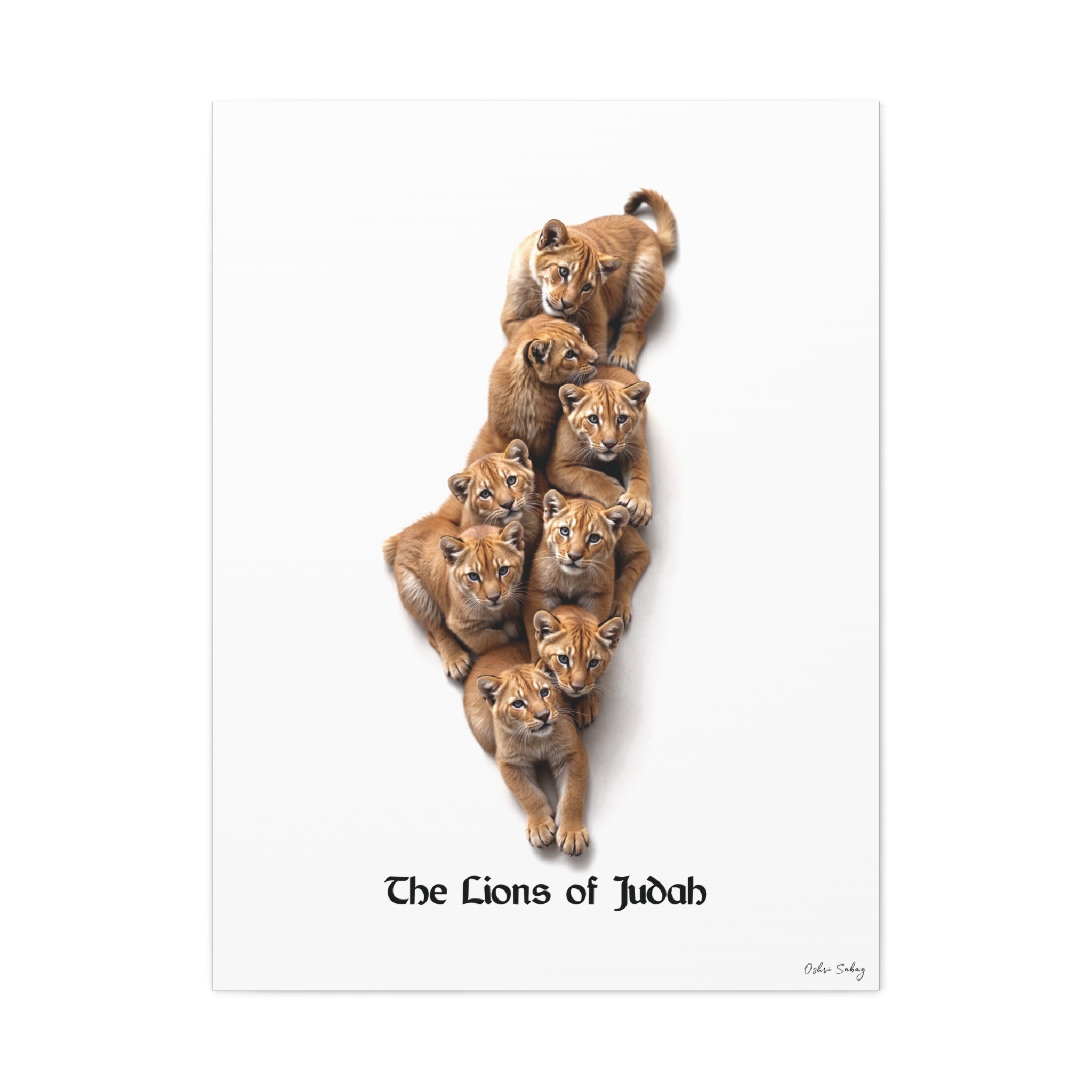 The Lions of Judah – Jewish Heritage Wall Art Print | Framed Canvas | Oshri Sabag Studio
